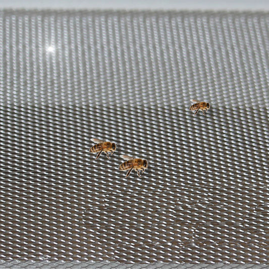 Grille Varroa inox maille 2,5 mm (Maille 8) V2A 1.4301 sur mesure